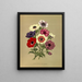 Anémone coronaria Simple Anemones - Arentina Hendrica Arendsen — framed artwork on a wall