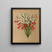 Anomatheca Cruenta, Vieusseuxia Pavonia, Iris Pavonia, Morea Pavonia - Arentina Hendrica Arendsen — framed artwork on a wall