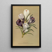 Reproduction of the painting Crocus Vernus Var - Arentina Hendrica Arendsen