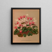 Cyclamen de printemps Cyclamen de printemps Fleur blanche - Arentina Hendrica Arendsen — framed artwork on a wall
