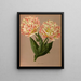 Double Tulip Raphael - Arentina Hendrica Arendsen — framed artwork on a wall