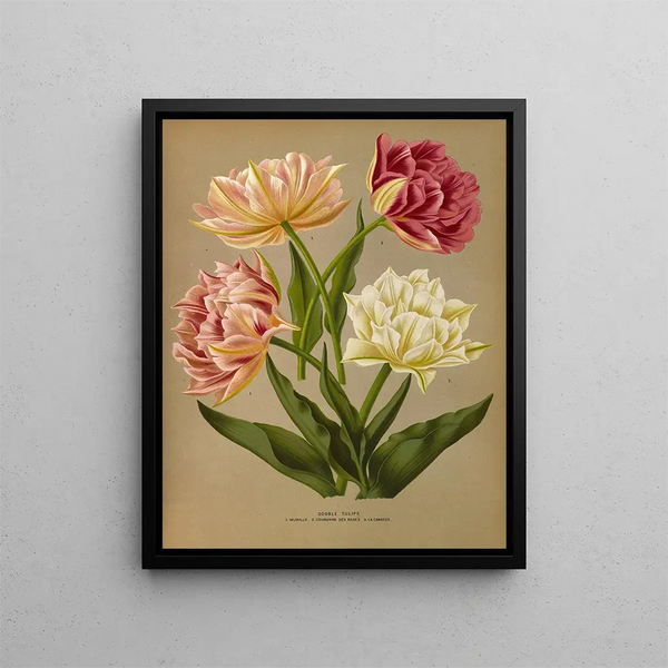 Double Tulips 1 Murillo 2 Crown of Roses 3 Innocence - Arentina Hendrica Arendsen — framed artwork on a wall