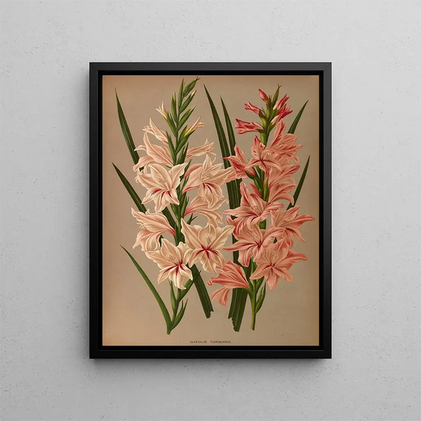 Glaïeul Floribundus - Arentina Hendrica Arendsen — framed artwork on a wall
