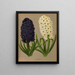 Jacinthes 11 - Arentina Hendrica Arendsen — framed artwork on a wall