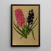 Jacinthes 3 - Arentina Hendrica Arendsen — framed artwork on a wall