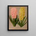 Jacinthes 4 - Arentina Hendrica Arendsen — framed artwork on a wall