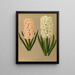 Jacinthes 7 - Arentina Hendrica Arendsen — framed artwork on a wall