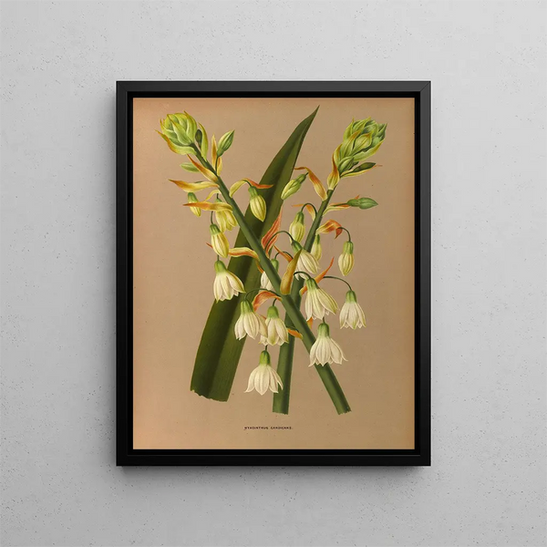 Blue confit painting - Arentina Hendrica Arendsen — framed artwork on a wall