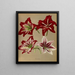 Amaryllis hybride - Arentina Hendrica Arendsen — framed artwork on a wall