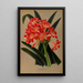 Reproduction of the painting Imantophyllum Miniatum - Arentina Hendrica Arendsen