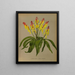 Lachenalia Pendula 2 Lachenalia Quaoricolor - Arentina Hendrica Arendsen — framed artwork on a wall