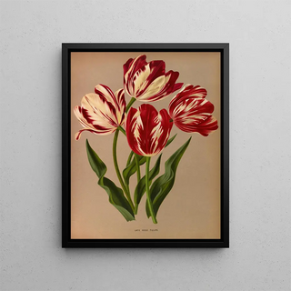 Tulips late roses - Arentina Hendrica Arendsen — framed artwork on a wall