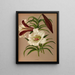 Lily Brown - Arentina Hendrica Arendsen — framed artwork on a wall