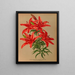 Lilium thunbergianum venustum - Arentina Hendrica Arendsen — framed artwork on a wall