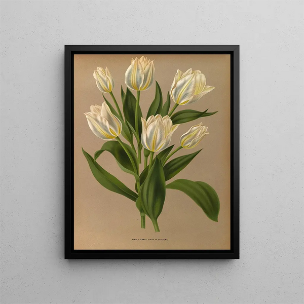 Tulip early simple The Milkmaid - Arentina Hendrica Arendsen — framed artwork on a wall