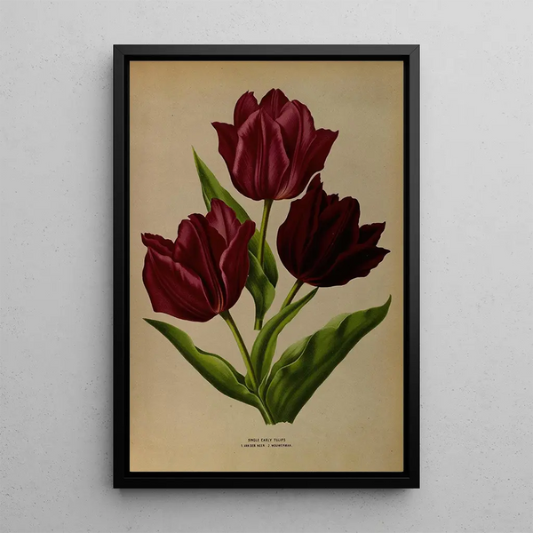 Reproduction of the painting Tulips early simple Van Der Neer Wouwerman - Arentina Hendrica Arendsen