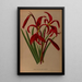 Reproduction of the painting Sprekelia formosissima Amaryllis formosissima - Arentina Hendrica Arendsen