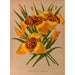 Tigridia conchiflora var. canariensis - Arentina Hendrica Arendsen — artwork view