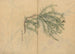 Sketchbook Pl003 - Ariyoshi Kondo — artwork view