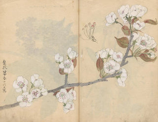 Sketchbook Pl006 - Ariyoshi Kondo — artwork view