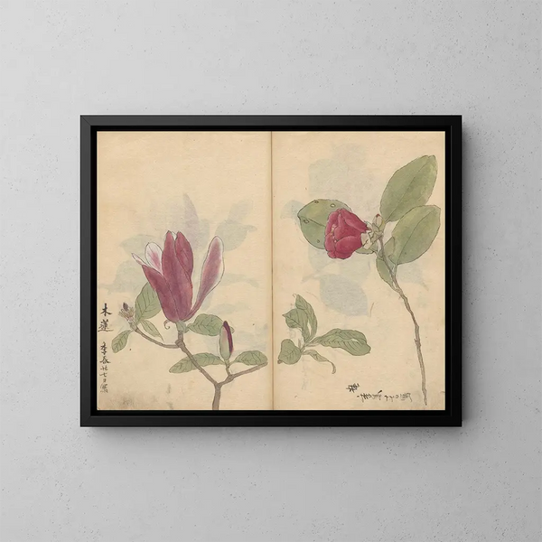 Sketchbook Pl008 - Ariyoshi Kondo — framed artwork on a wall