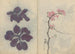 Sketchbook Pl009 - Ariyoshi Kondo — artwork view