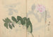 Sketchbook Pl011 - Ariyoshi Kondo — artwork view