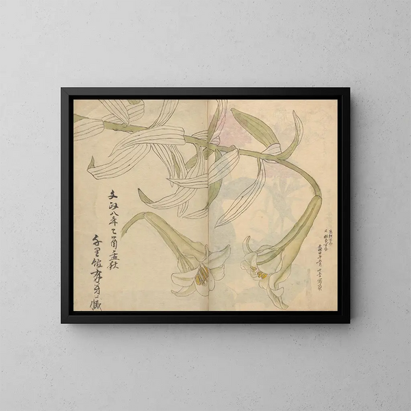 Sketchbook Pl012 - Ariyoshi Kondo — framed artwork on a wall