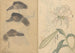 Sketchbook Pl014 - Ariyoshi Kondo — artwork view