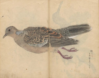 Sketchbook Pl016 - Ariyoshi Kondo — artwork view