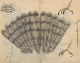 Sketchbook Pl021 - Ariyoshi Kondo — artwork view