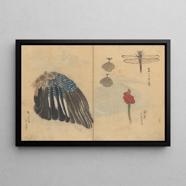 Sketchbook Pl023 - Ariyoshi Kondo — framed artwork on a wall