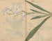 Sketchbook Pl031 - Ariyoshi Kondo — artwork view