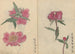 Sketchbook Pl032 - Ariyoshi Kondo — artwork view