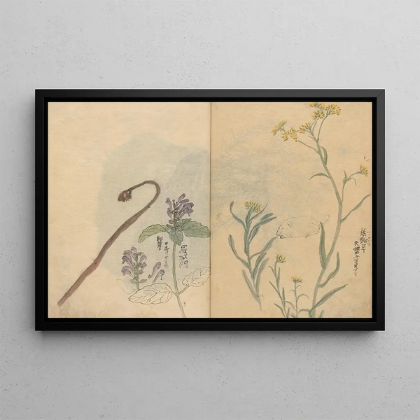 Sketchbook Pl033 - Ariyoshi Kondo — framed artwork on a wall