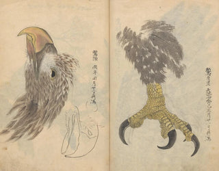 Sketchbook Pl035 - Ariyoshi Kondo — artwork view