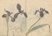 Sketchbook Pl037 - Ariyoshi Kondo — artwork view