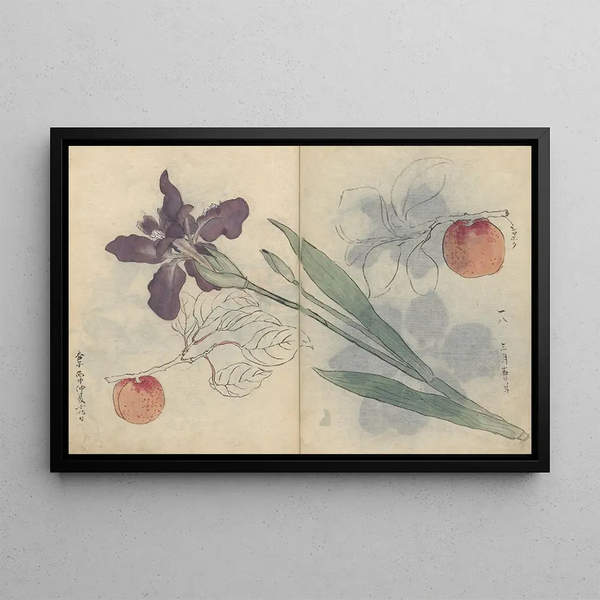 Sketchbook Pl045 - Ariyoshi Kondo — framed artwork on a wall