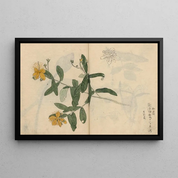 Sketchbook Pl052 - Ariyoshi Kondo — framed artwork on a wall