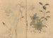 Sketchbook Pl055 - Ariyoshi Kondo — artwork view