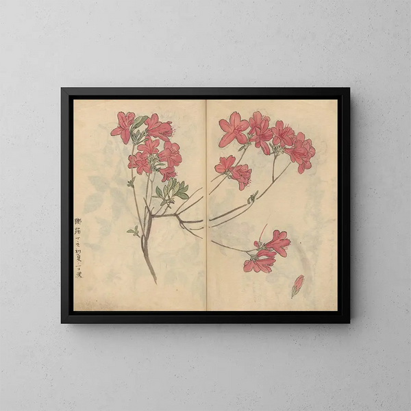 Sketchbook Pl056 - Ariyoshi Kondo — framed artwork on a wall