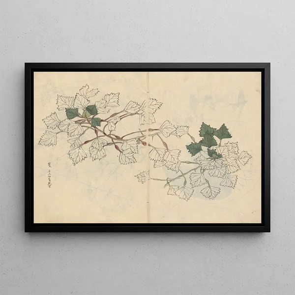 Sketchbook Pl057 - Ariyoshi Kondo — framed artwork on a wall