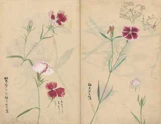Sketchbook Pl059 - Ariyoshi Kondo — artwork view