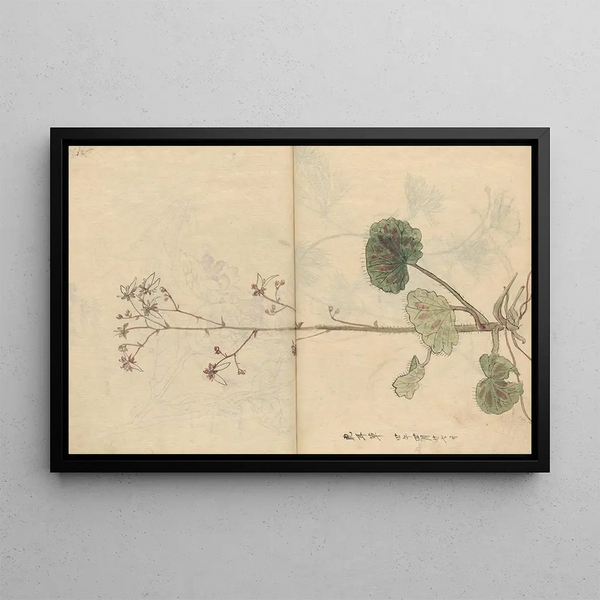 Sketchbook Pl061 - Ariyoshi Kondo — framed artwork on a wall