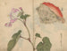 Sketchbook Pl066 - Ariyoshi Kondo — artwork view