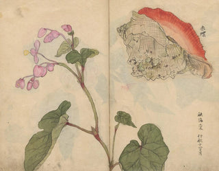 Sketchbook Pl066 - Ariyoshi Kondo — artwork view