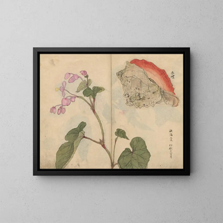 Sketchbook Pl066 - Ariyoshi Kondo — framed artwork on a wall