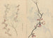 Sketchbook Pl067 - Ariyoshi Kondo — artwork view