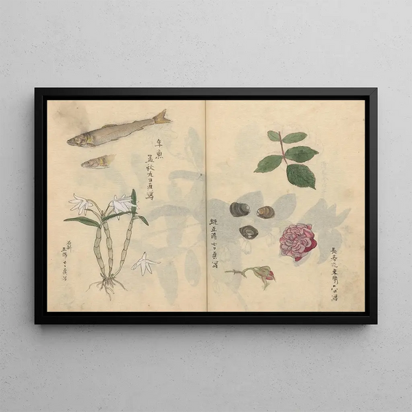 Sketchbook Pl069 - Ariyoshi Kondo — framed artwork on a wall