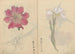 Sketchbook Pl071 - Ariyoshi Kondo — artwork view